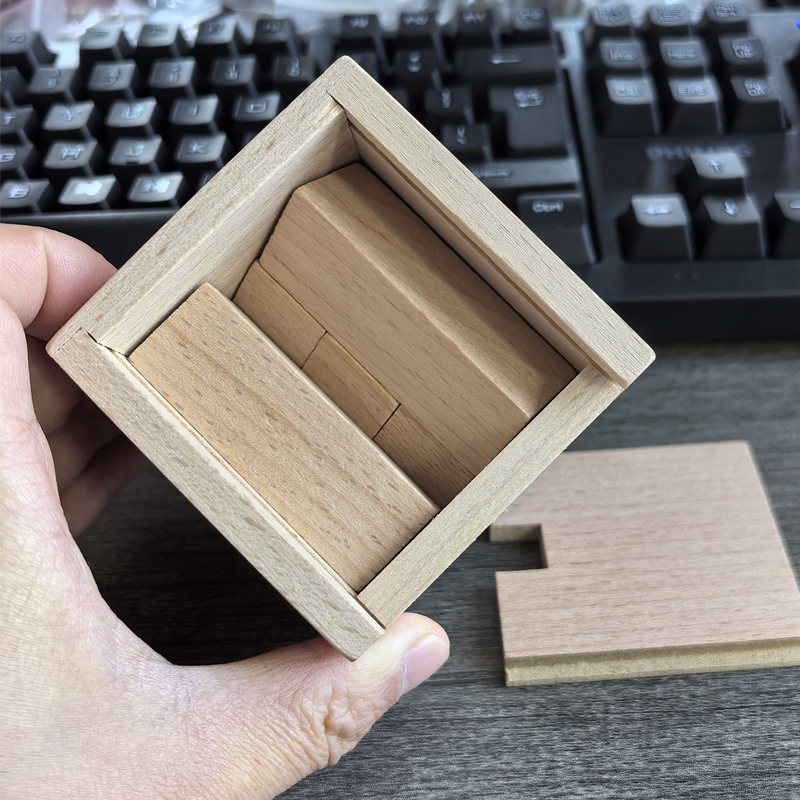Magic IQ Oblique Placement of  - Wooden Puzzle Kids review and price