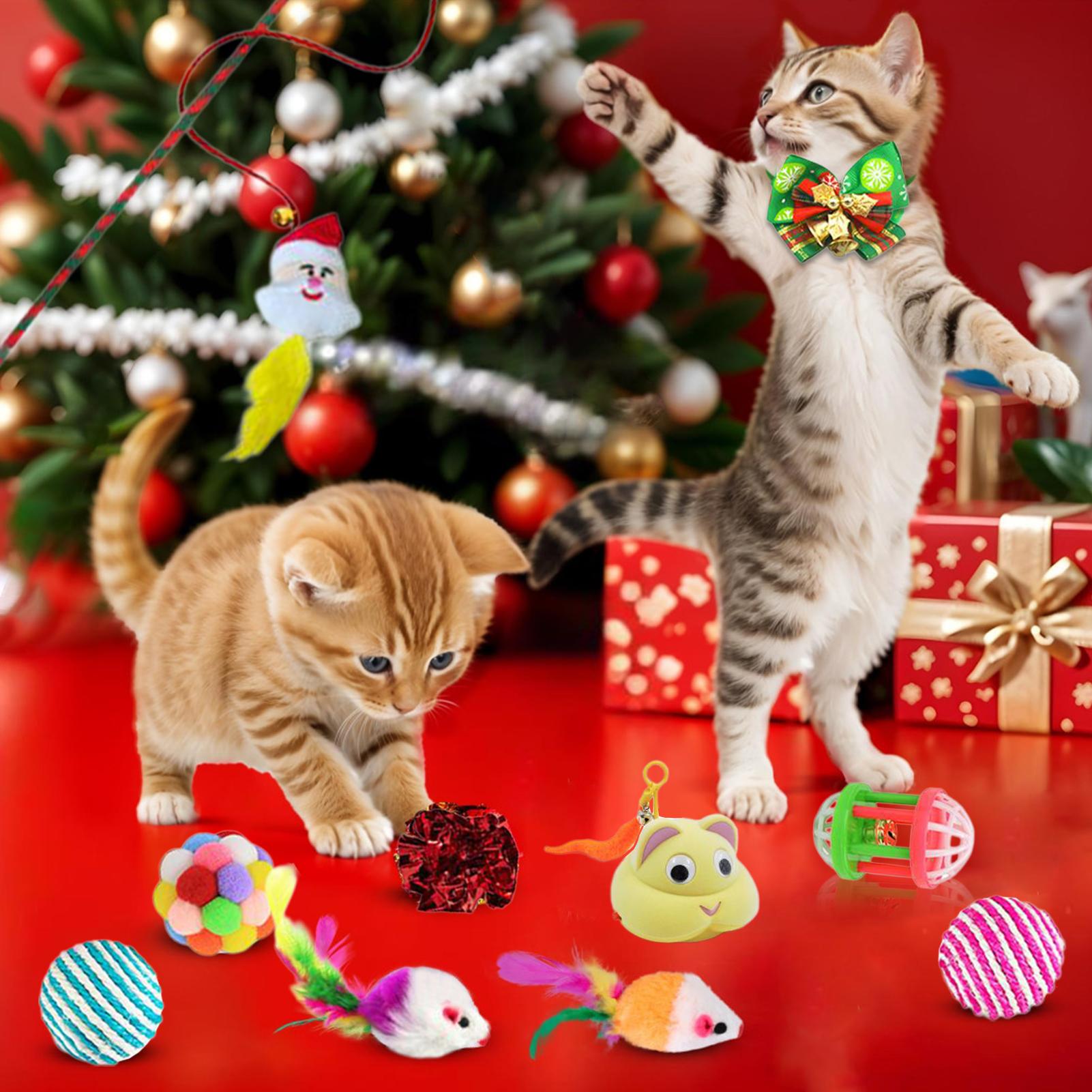 Pet Cat Toy Calendar 2025 24 D - Kids Toys Xmas 2025 review and price