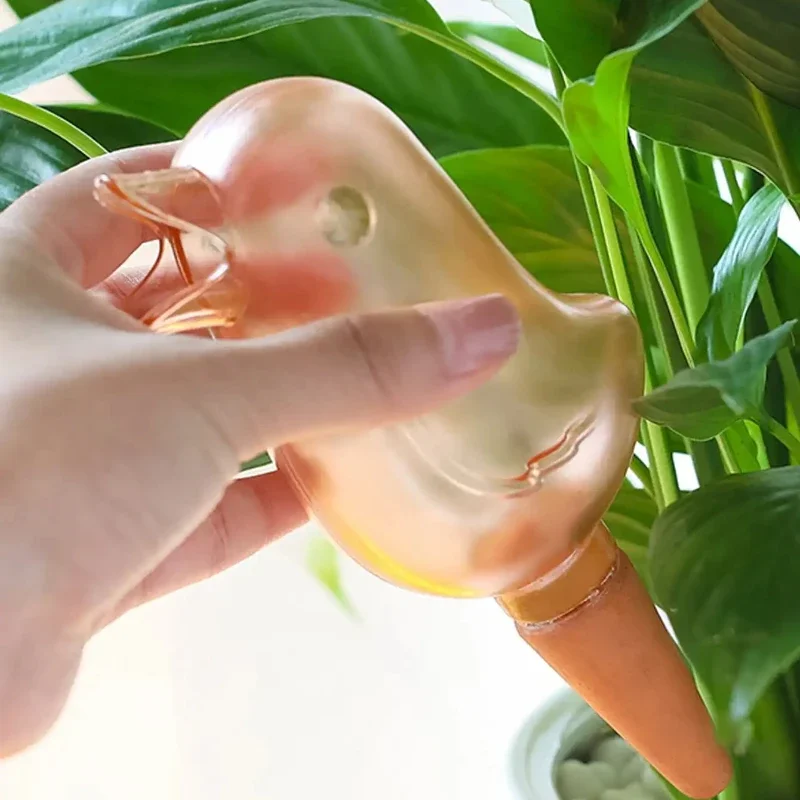 High quality automatic flower  - Water Balloon Set review and price